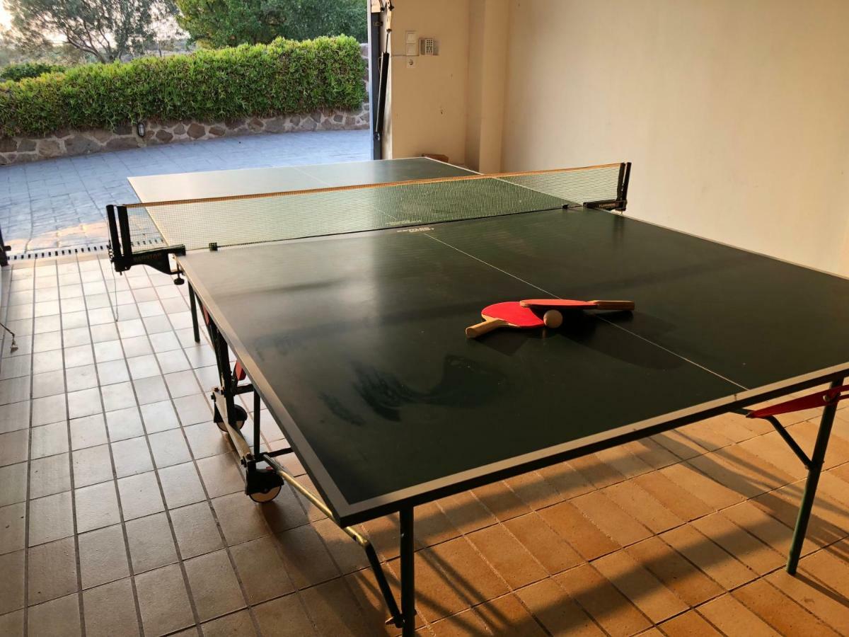 Alexander Villa 派尔季卡 外观 照片